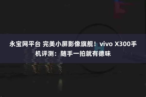 永宝网平台 完美小屏影像旗舰！vivo X300手机评测：随手一拍就有德味