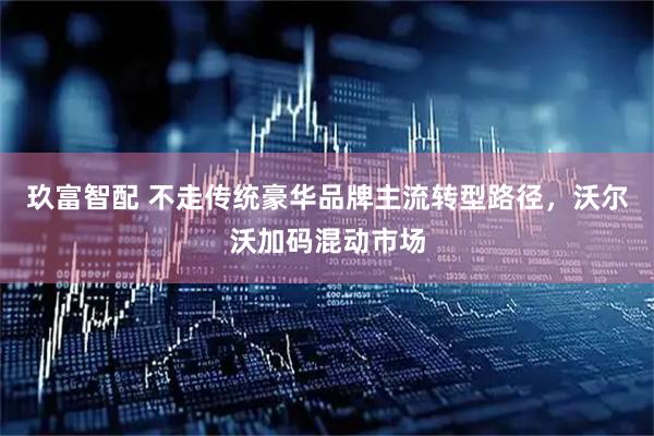 玖富智配 不走传统豪华品牌主流转型路径，沃尔沃加码混动市场